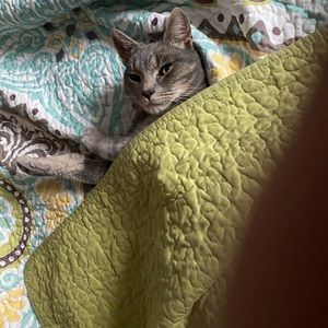 Meet your Posher, Bruce